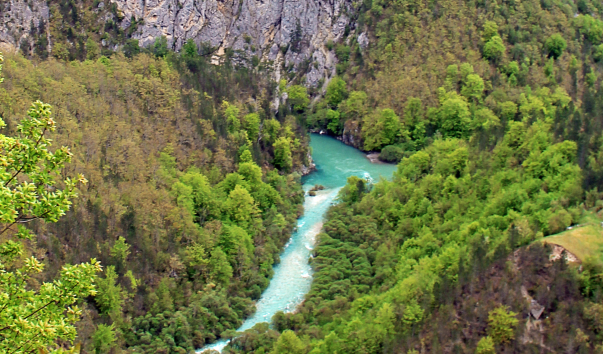 IMG-00017014