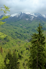 photo 2059161