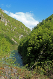 photo 2064644
