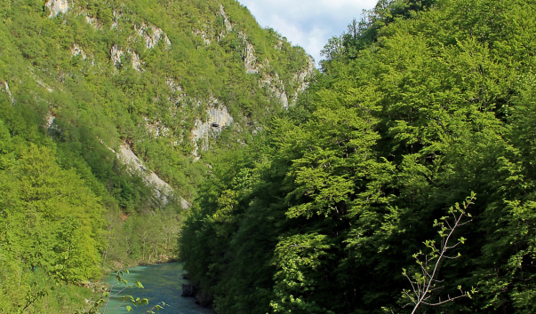 IMG-00017042