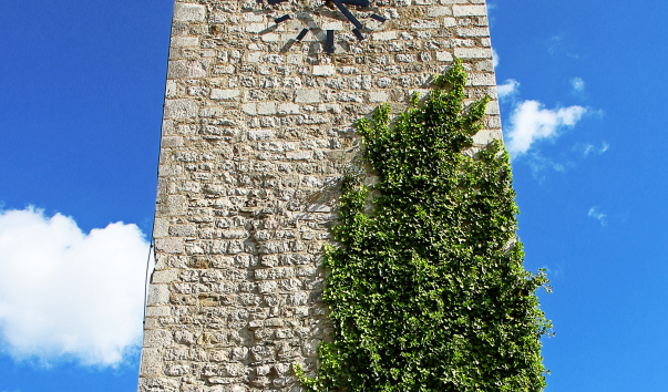 IMG-00018955