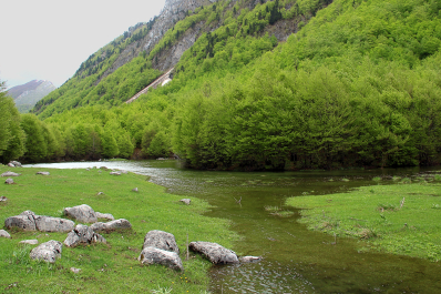 photo 2082592