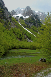 photo 2089723