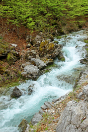 photo 2092627