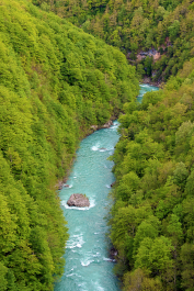 photo 2092663