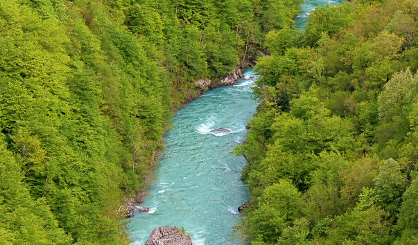 IMG-00017088