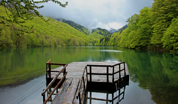 IMG-00016981
