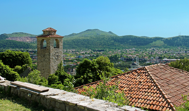 IMG-00018894