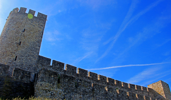 IMG-00002048