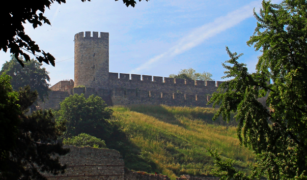IMG-00002078