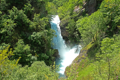 photo 2007738
