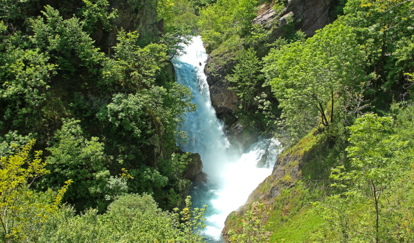 IMG-00017424