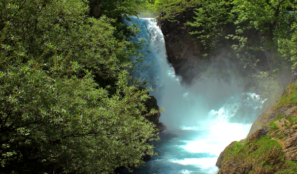 IMG-00017440