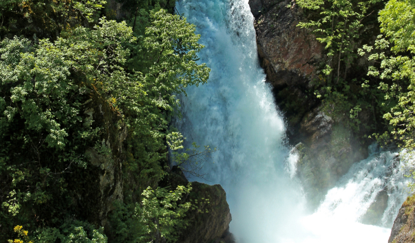 IMG-00017425