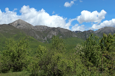 photo 2048275