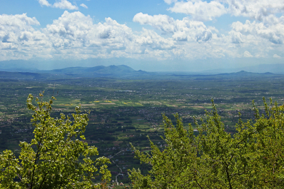 photo 2072984