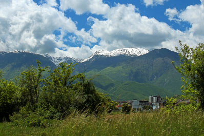 photo 2109352