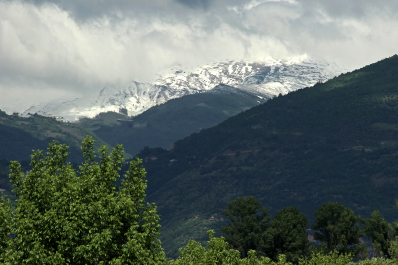 photo 2024905