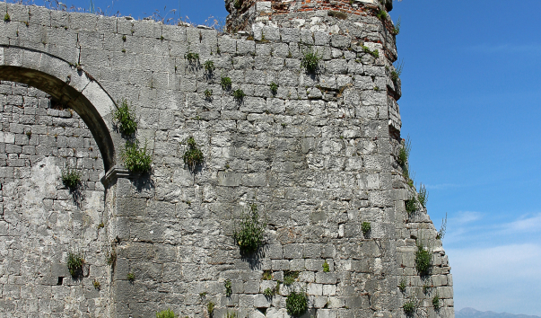 IMG-00018450