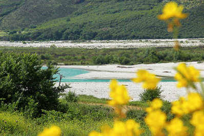 photo 2052268