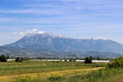 photo 2054789