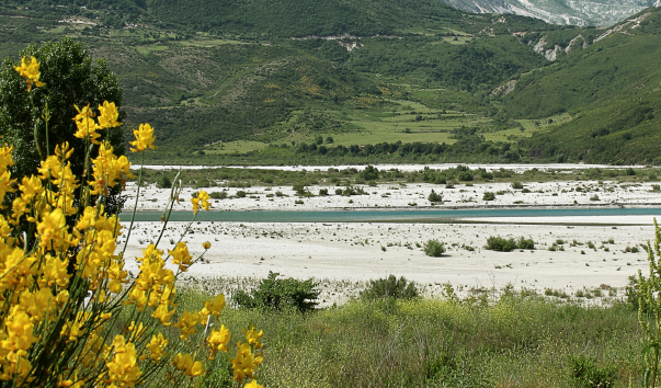 IMG-00018385