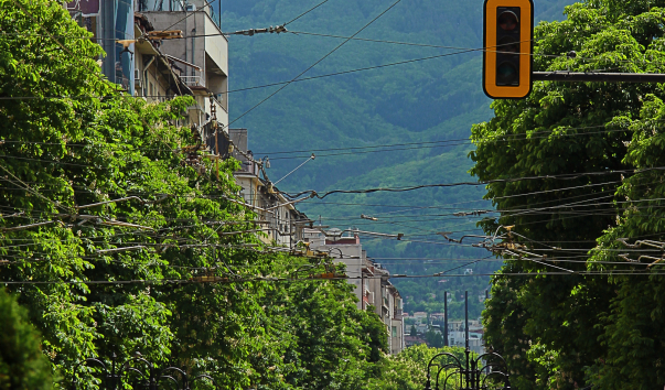 IMG-00017757
