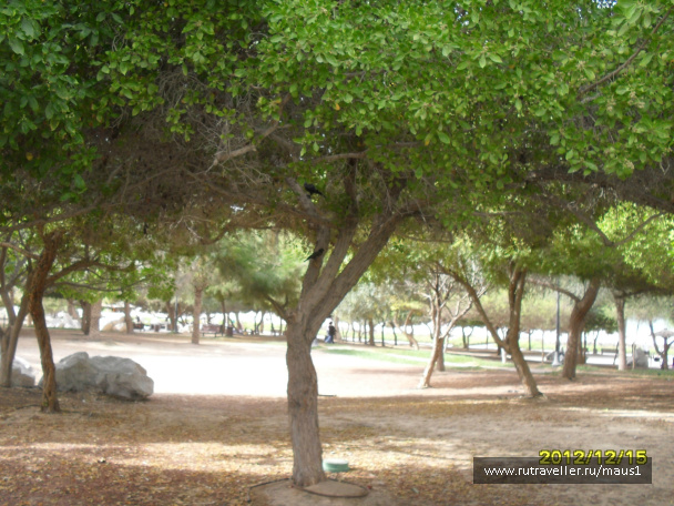 photo 235534