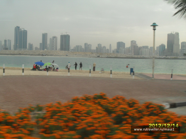 photo 235767