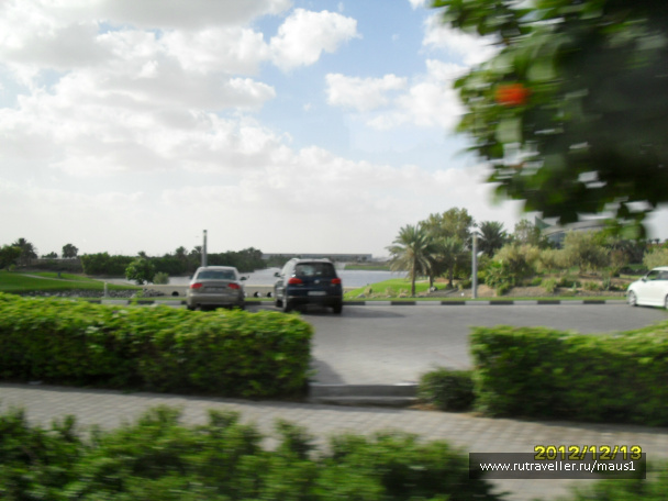 photo 235768