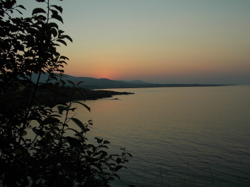 photo 630727