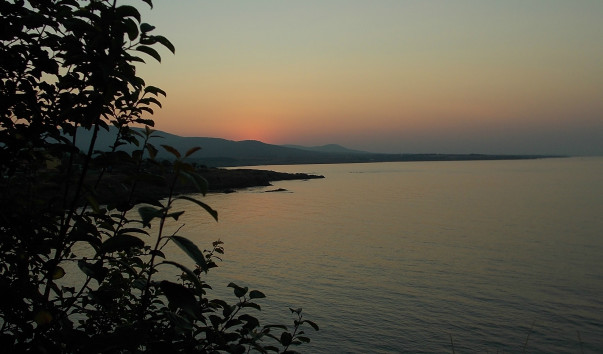 DSCN2656