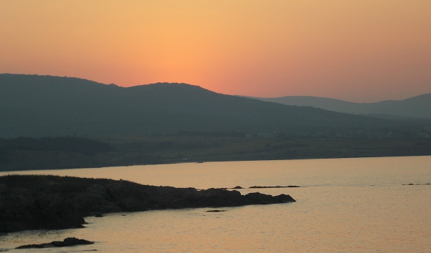DSCN2653