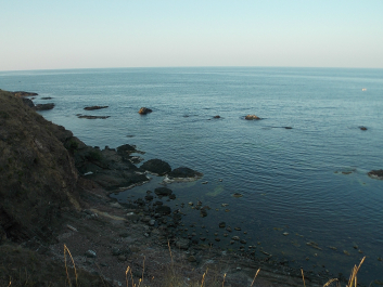 photo 630734