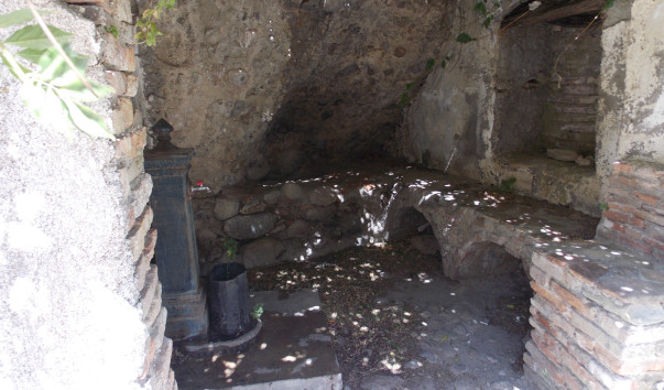 DSCN1473