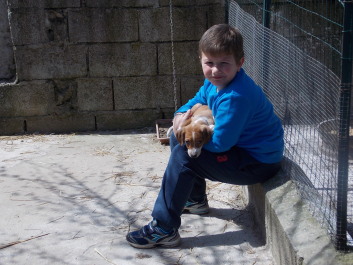 photo 1020012