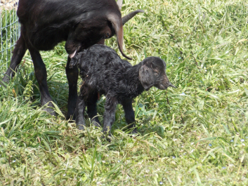 photo 1020027