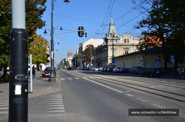 photo 1336484