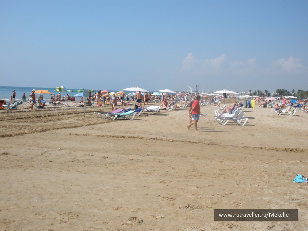 photo 1045542