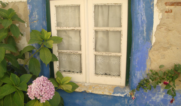 DSC05921