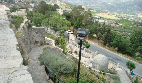 DSC06524