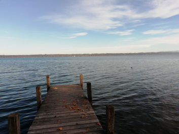 photo 1828769