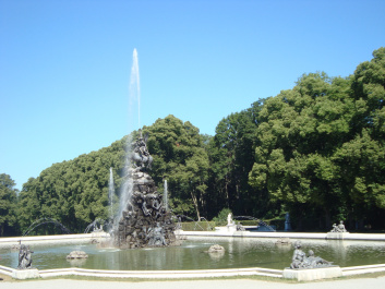 photo 460781