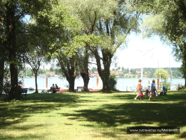 photo 460787