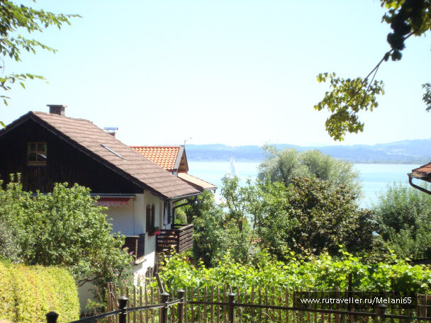 photo 460791