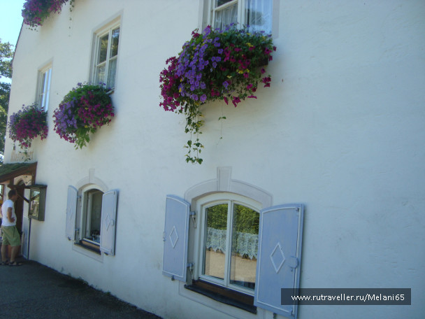 photo 460794
