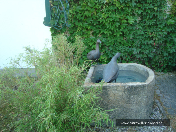 photo 460999
