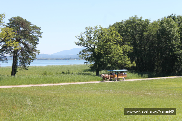 photo 485182