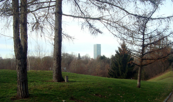 DSC08433
