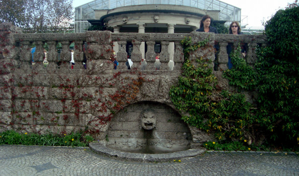 DSC09787